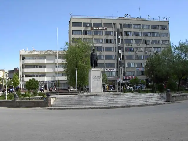 Siirt şehrinden genel görünüm