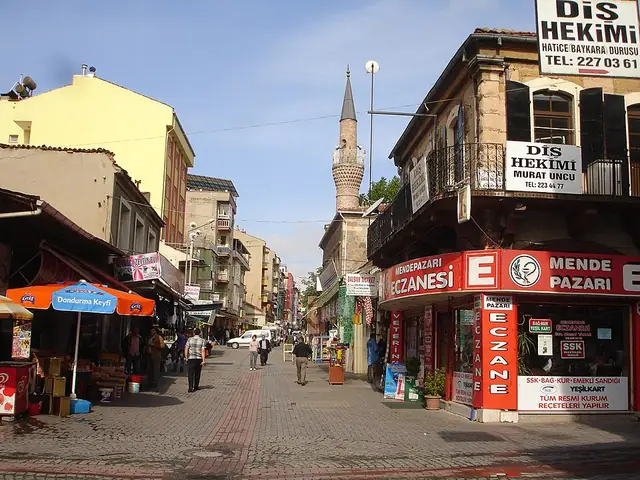 Uşak şehrinden genel görünüm