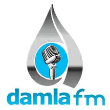 DAMLA FM Radyo Logosu
